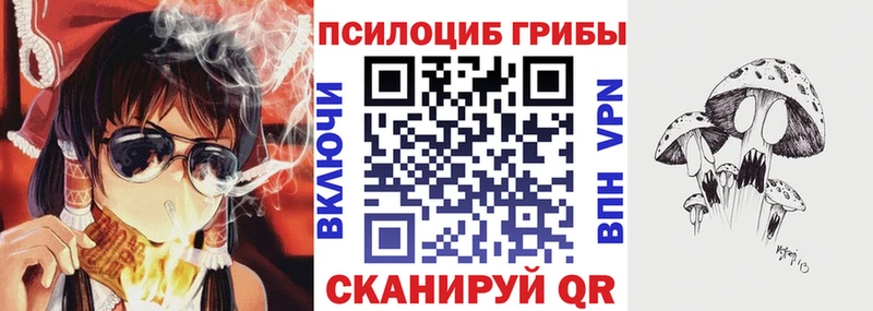 Галлюциногенные грибы мицелий  дарнет шоп  Сковородино 